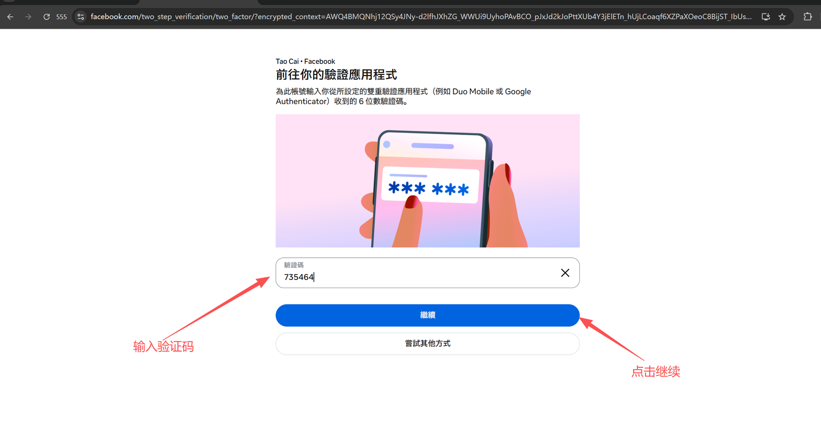 输入验证码并点击继续